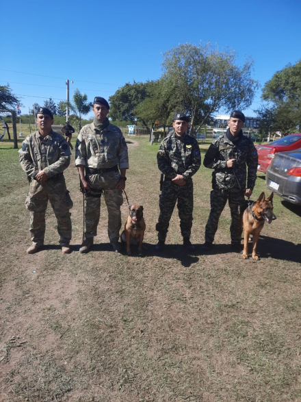 perros1