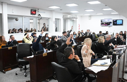 diputados