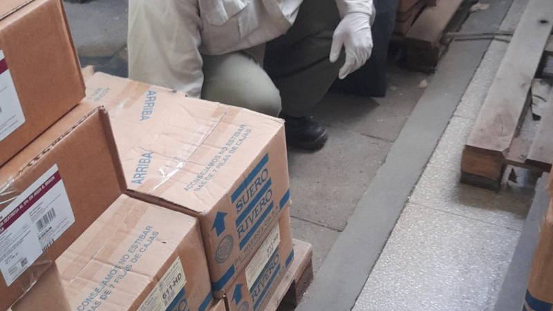 Fortalecen acciones de saneamiento ambiental y desratización