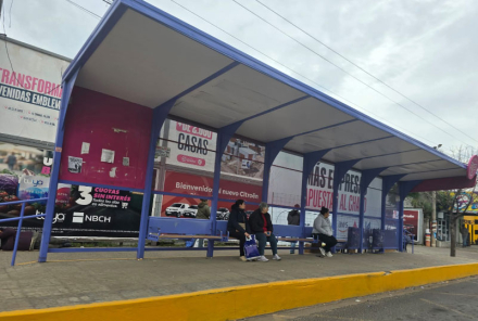 colectivos