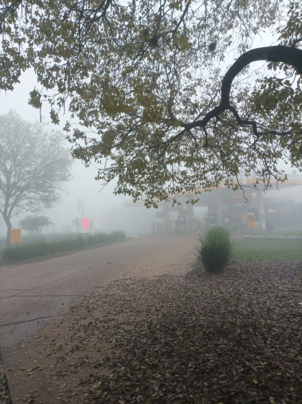 neblina 2