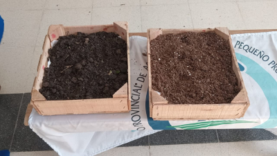 El PAIPPA capacitó a vecinos sobre "Huerta Familiar"          