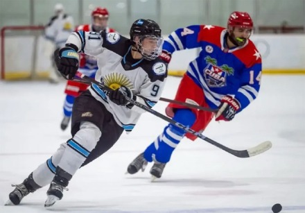 hockey