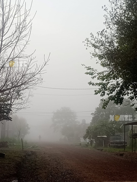 WhatsApp Image 2026-08-15 at 9.30.00 AM