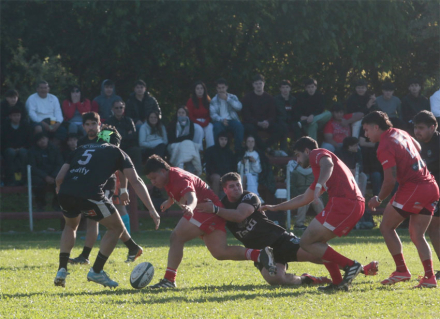 rugby
