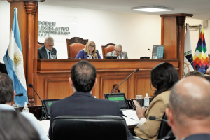 Chaco Puede pidió a una extraordinaria para suspender las PASO