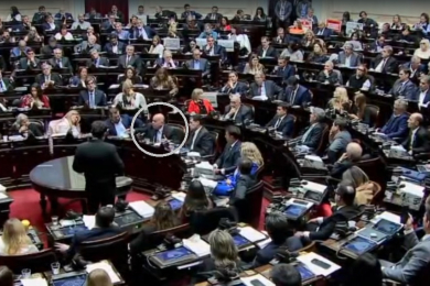 El chaqueño Leiva protagonizó un nuevo cruce con Menem en el recinto