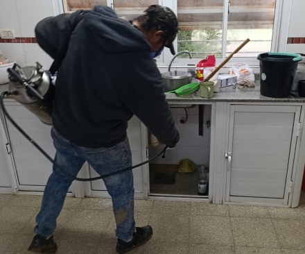 Trabajos brigadas sanitarias (5)