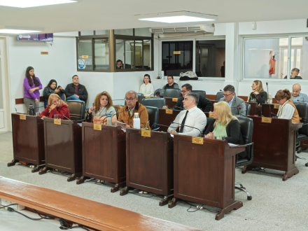 sesion concejo resistencia 2026