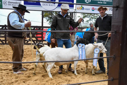 EXPO-RURAL7