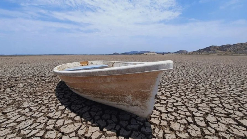 Proyectan más de 400.000 muertes por calor extremo