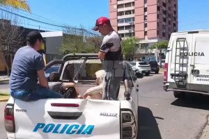 Presunto abuso tras un asado: el acusado designó abogado y declarará la víctima