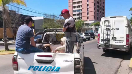 policial2