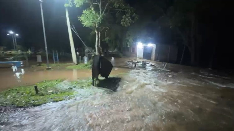 En Vilelas el agua ingresó en sectores costeros sin superar la defensa principal