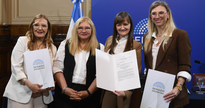 Chaco presentó en el Senado de la Nación su modelo pionero de odontología inclusiva