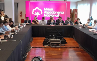 Solo el 5% de la siembra de algodón es con semilla legal