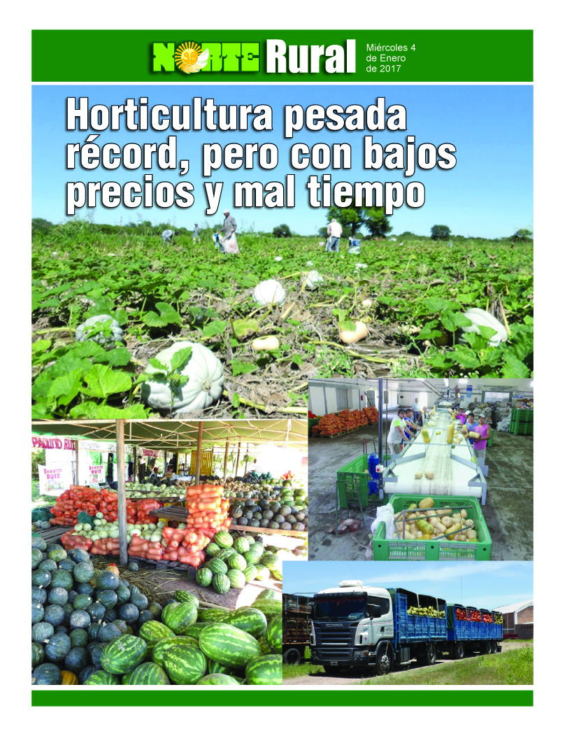 Horticultura pesada record, pero con bajos precios y mal tiempo