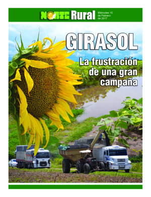 Girasol, la frustración de una gran campaña