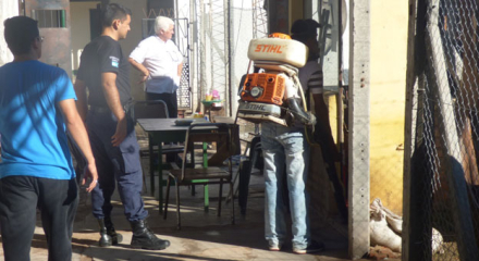FUMIGACION.jpg