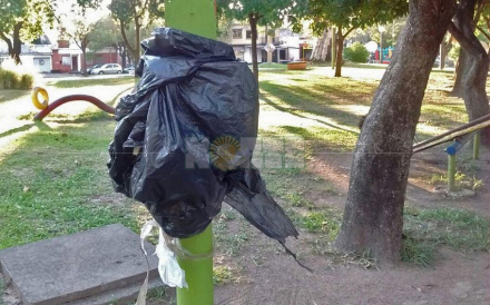 integracion2.jpg