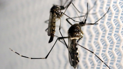 Confirman en Santa Fe que nació un bebé con microcefalia por zika