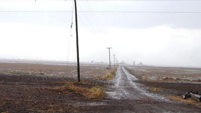 Las lluvias vuelven a generar preocupación en la producción