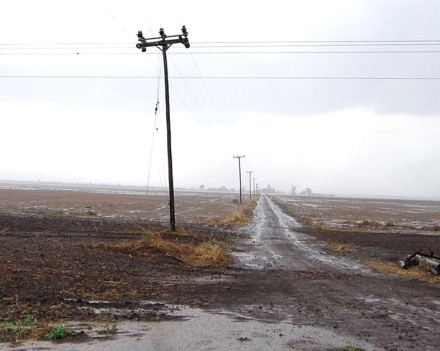Campo SP.jpg