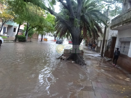 lluvia3.jpg