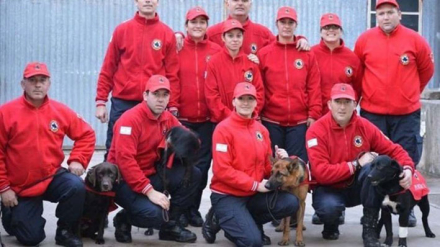 K9.jpg