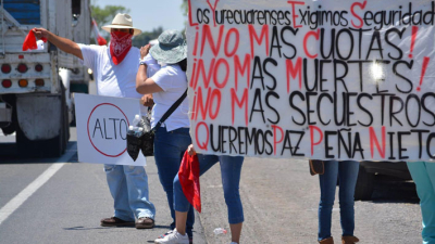 Los carteles narco y el negocio de las paltas en México