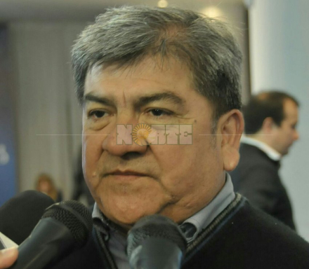 Nievas Falcon.jpg