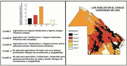 suelo3.jpg