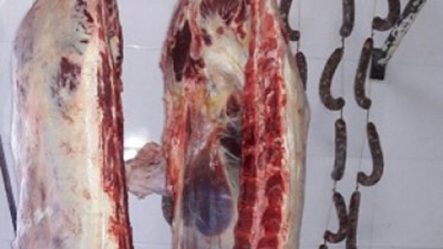 Doscientos kilos de carne decomisada en Las Breñas