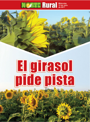 El girasol pide pista
