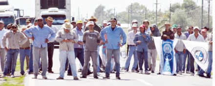 productores.jpg