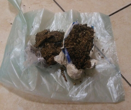 Droga en el SPP 2.jpg