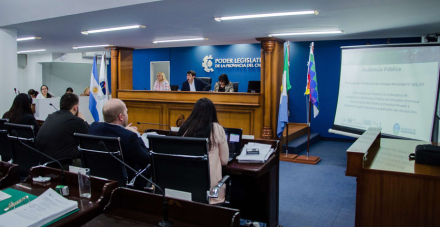 Concejo audiencia publica.jpg