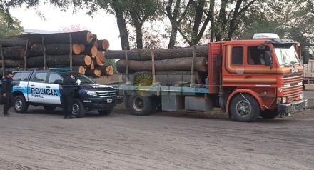 camioncon algarrobo.jpg