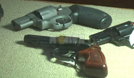 Carlos Pellegrini-Armas 2.jpg