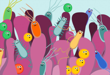 microbiota-intestinal.jpg