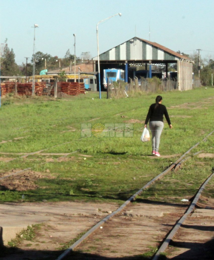 tren2.jpg