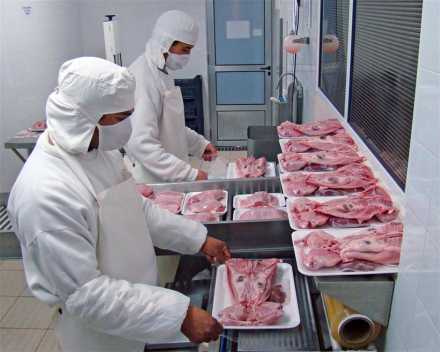 industria 1.jpg