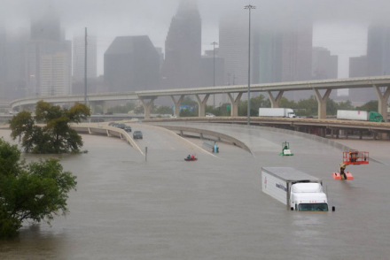 harvey.jpg