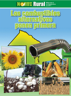 Los combustibles alternativos ponen primera