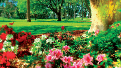 Inicia la Primavera y Día del estudiante