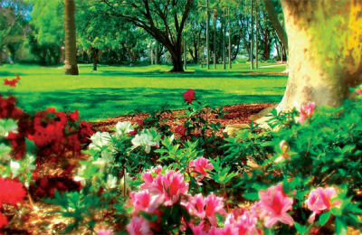 Inicia la Primavera y Día del estudiante