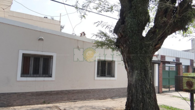 Nadie atendió reclamos por un árbol y casi ocurre una desgracia