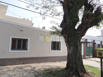 arbol2.jpg