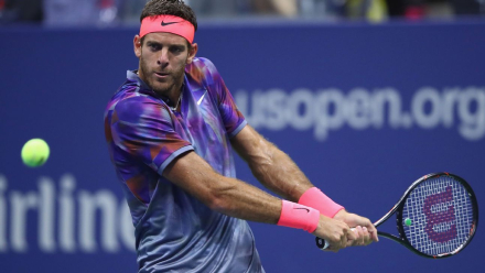 delpotro.jpg