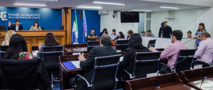 sesion concejo.jpg